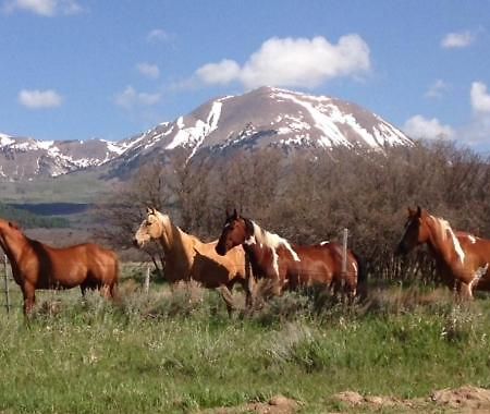 Mount Peale Country Inn La Sal Εξωτερικό φωτογραφία