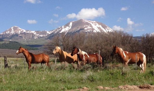 Mount Peale Country Inn La Sal Εξωτερικό φωτογραφία