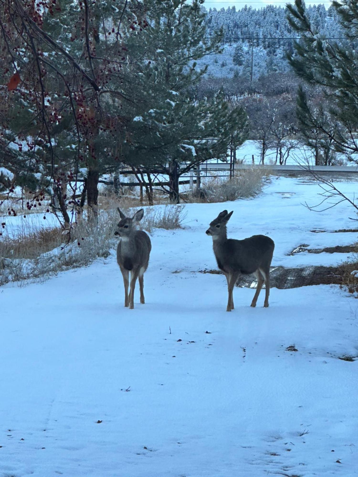 Mount Peale Country Inn La Sal Εξωτερικό φωτογραφία